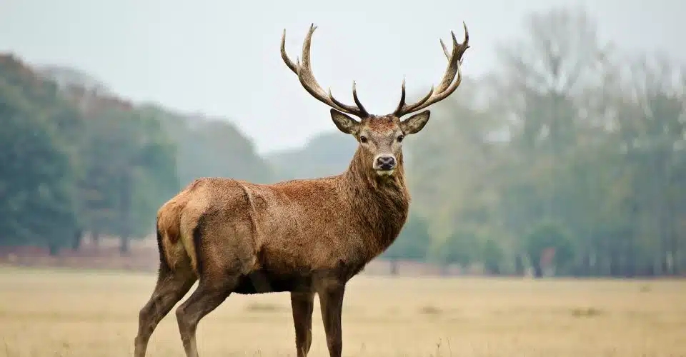 Herpak de regie van je leven en straal!